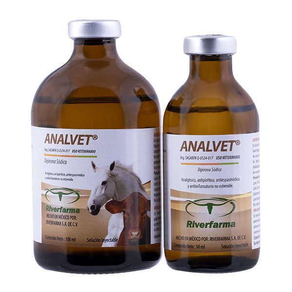 Analvet